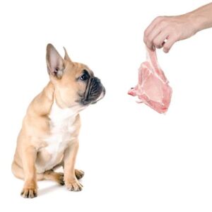 Raw Diet for Dogs 101 - The Ultimate Guide