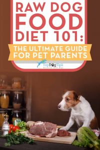 Raw Dog Food Diet for Dogs 101