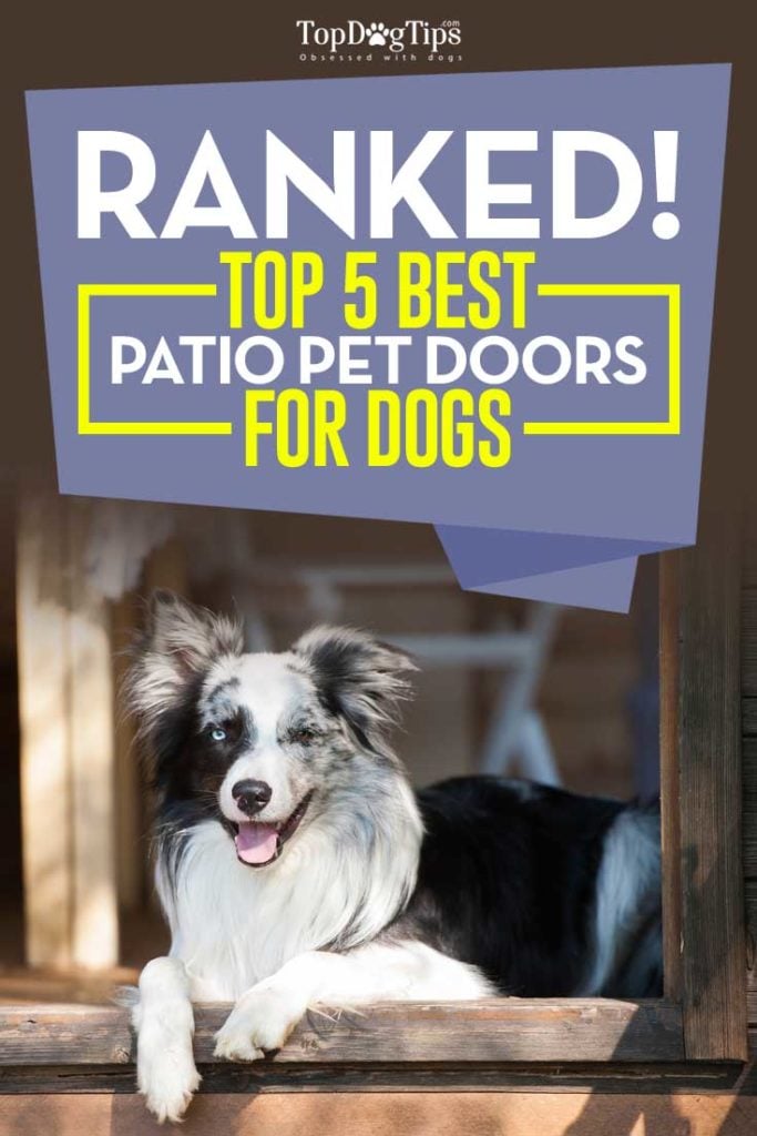 The 5 Best Patio Pet Doors for Dogs