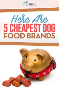 Top Best Inexpensive Dog Foods