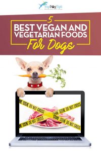 Top Best Vegetarian and Best Vegan Dog Food