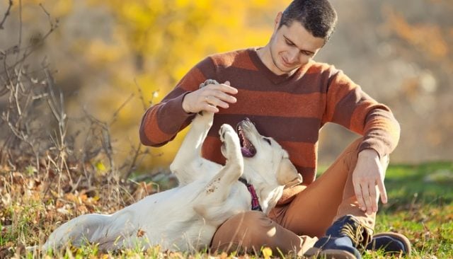 could you make a dog this happy