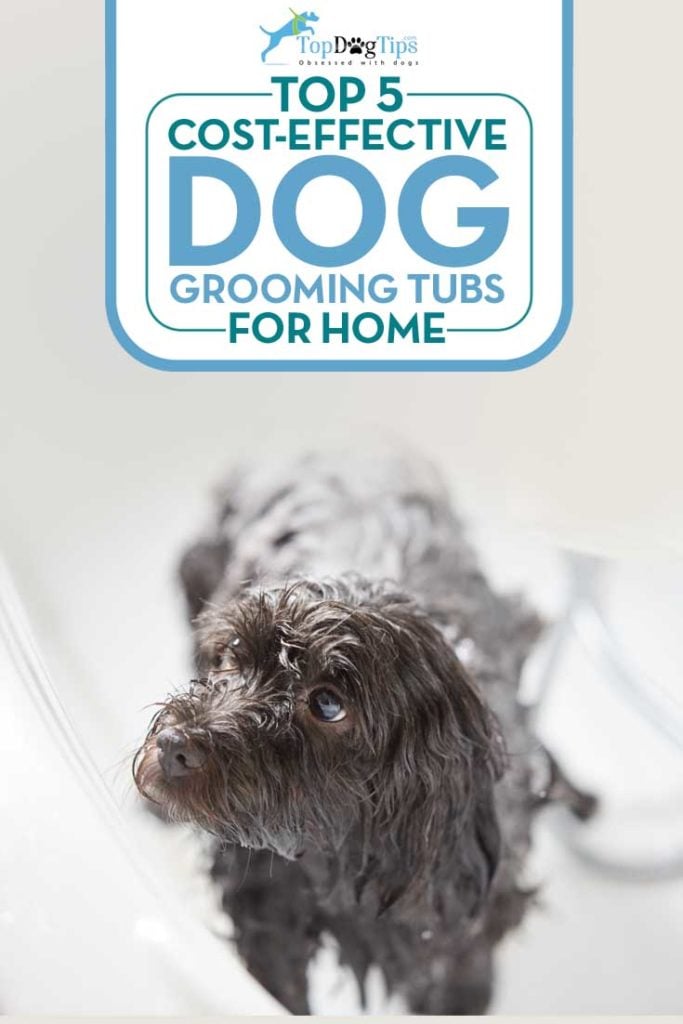 5 Top Rated Cheap Dog Grooming Tubs for Home