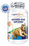 Doggone Best Supplements for Dogs Review