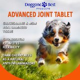 Doggone Best Supplements for Dogs Review