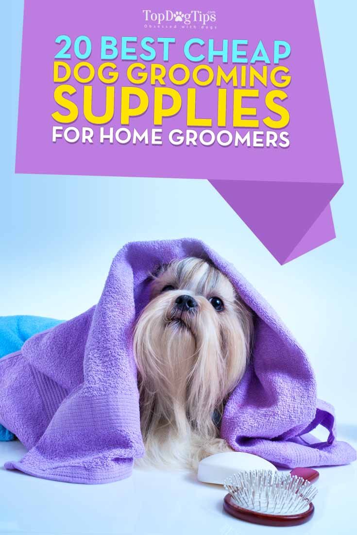 Best Cheap Dog Grooming Supplies for Pet Groomers