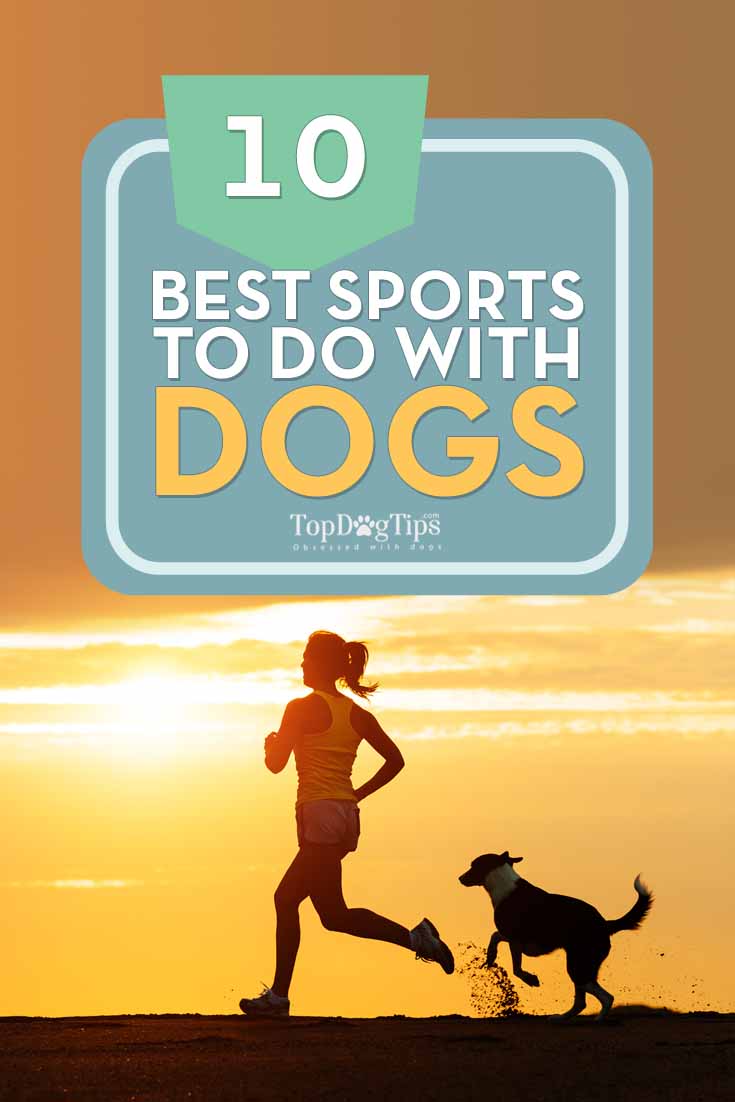 Best Sports to Do with Your Dog