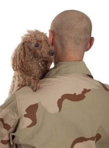 Dogs help against PTSD