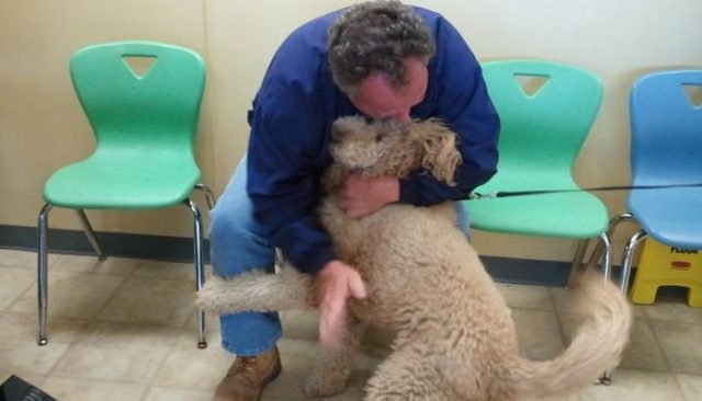 Lion Dog Reunited With Owner After Legal Debacle