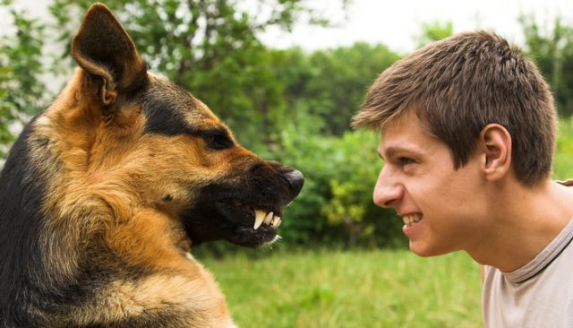 Man Refuses to Do Community Service After Biting His Dog