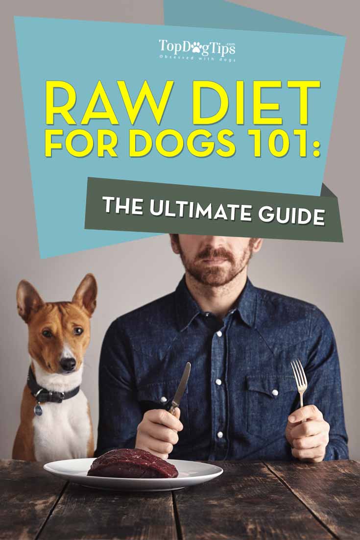 Raw Diet for Dogs 101