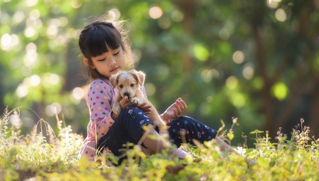 Small Dog Breeds That Are Good With Kids