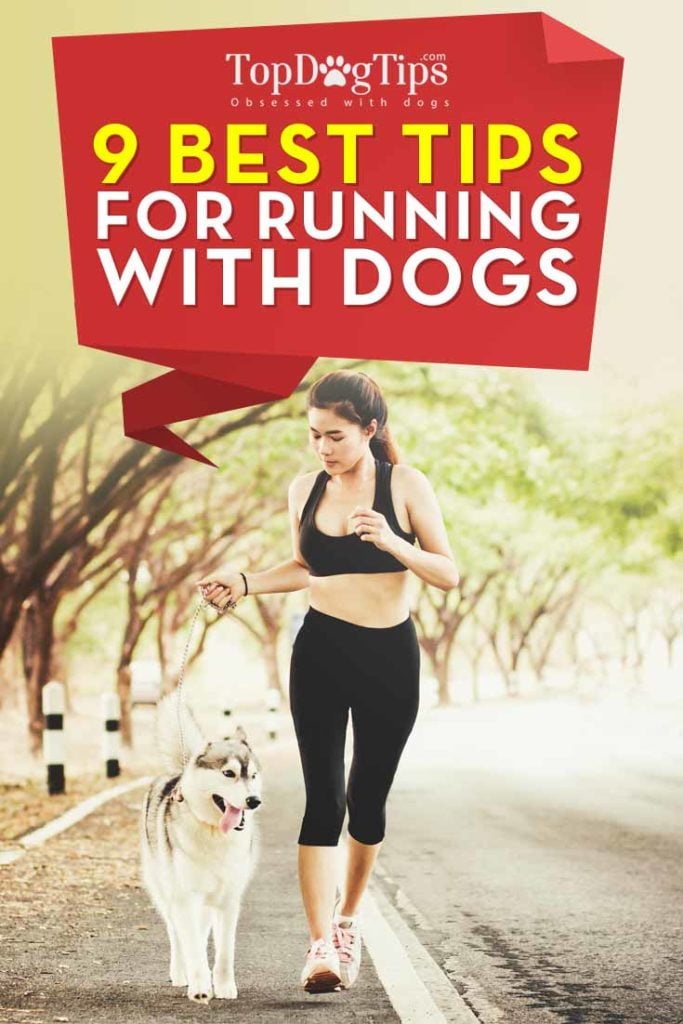 The 9 Tips for Running with Dogs