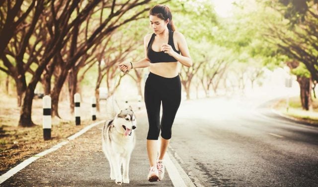 Tips for Running with Dogs featured image