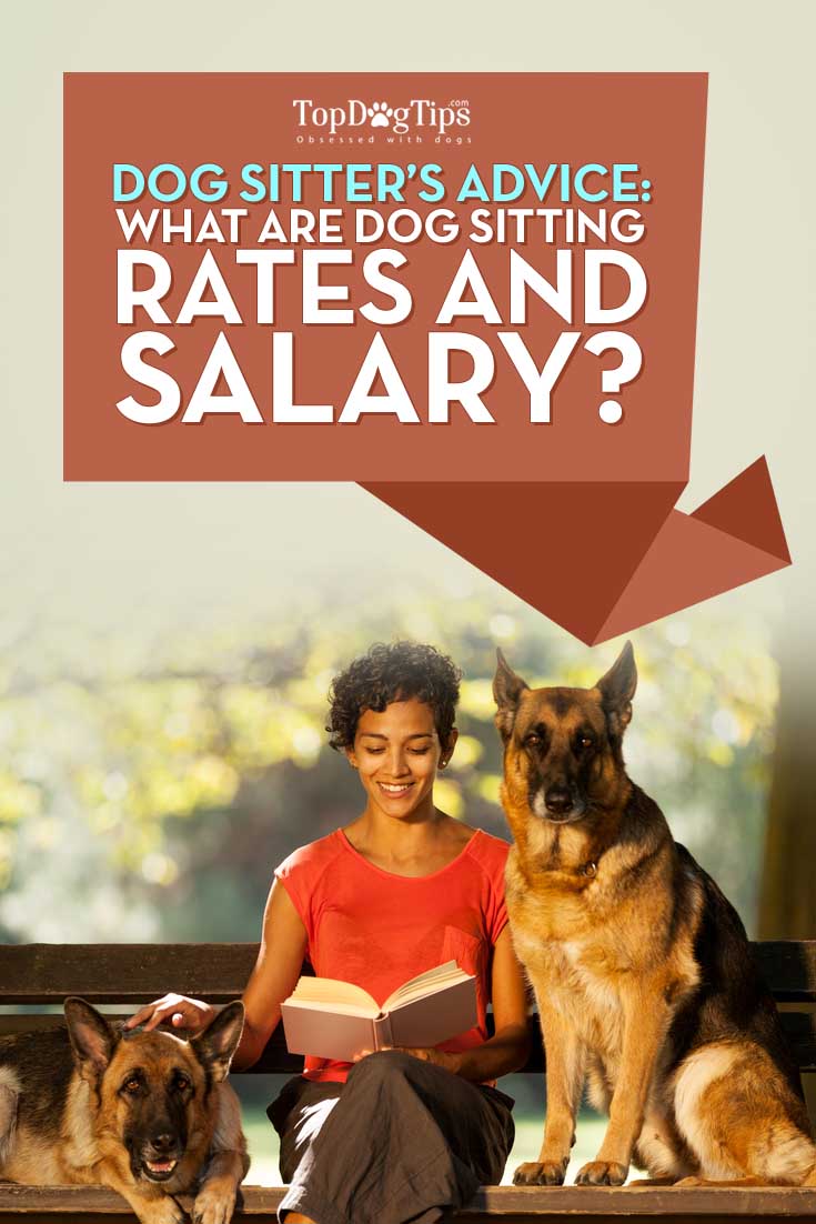 What Are Dog Sitting Rates and Dog Sitter Salary