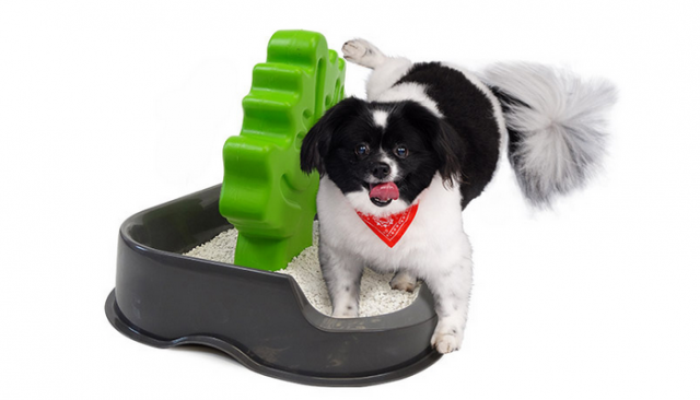 With The Woofaloo, You Won't Mind If Your Dog Pees Inside