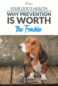 An Ounce of Prevention is Worth a Pound of Cure – For Dogs