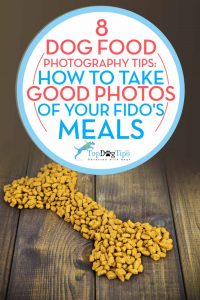 Best Dog Food Photography Tips