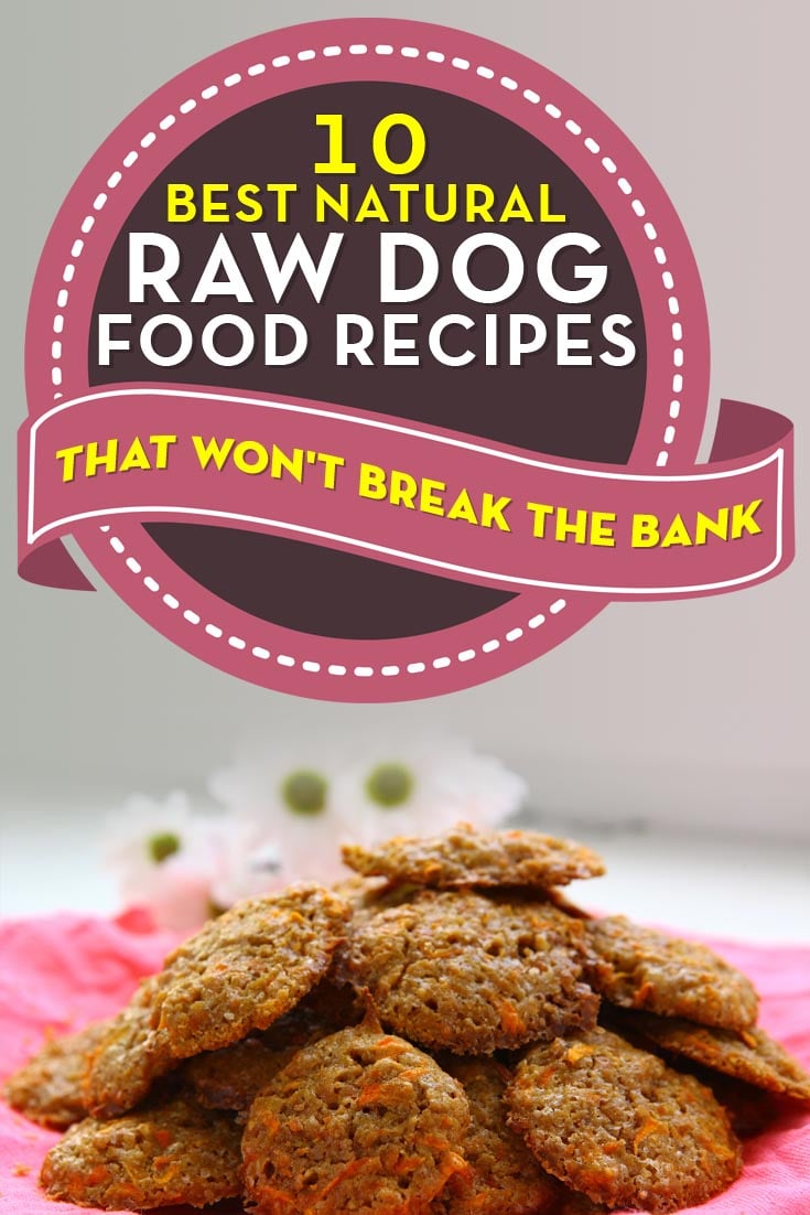 Best Natural Homemade Raw Dog Food Recipes for Dogs