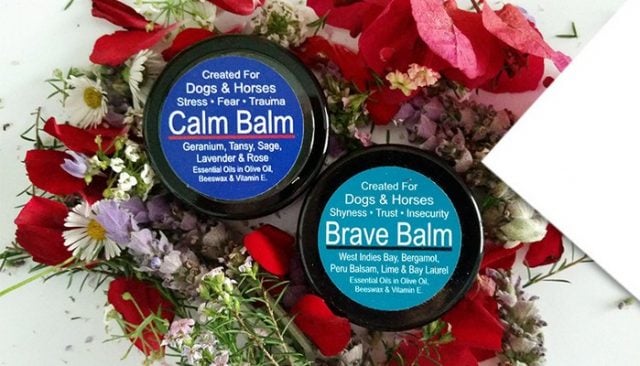 Calm Your Anxious Dog the Easy Way with Calm Balm