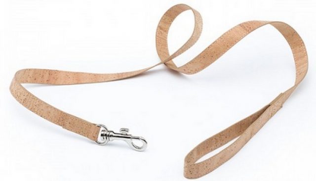 Dog Leashes Made of Collar Are Sustainable and Eco-Friendly