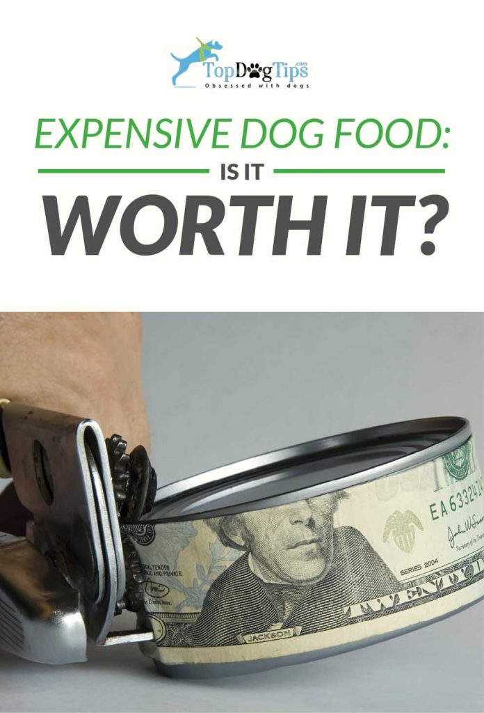 Expensive Dog Food Brands