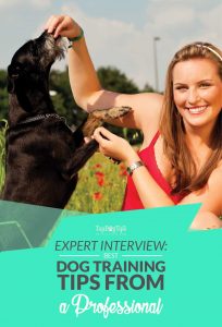 Expert Dog Training Tips