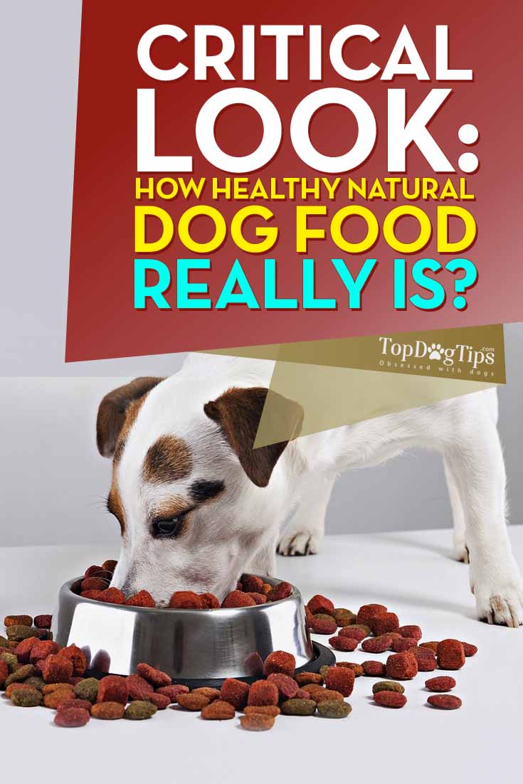 Is natural dog food healthy