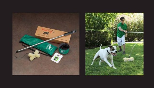 The Woofstick Isn't Your Average Dog Toy