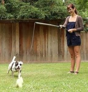 The Woofstick Isn't Your Average Dog Toy