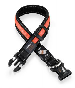 4 Paws Tech LED Dog Collar