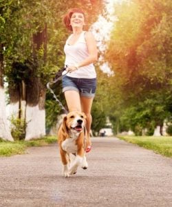 Dog walking on hot cement