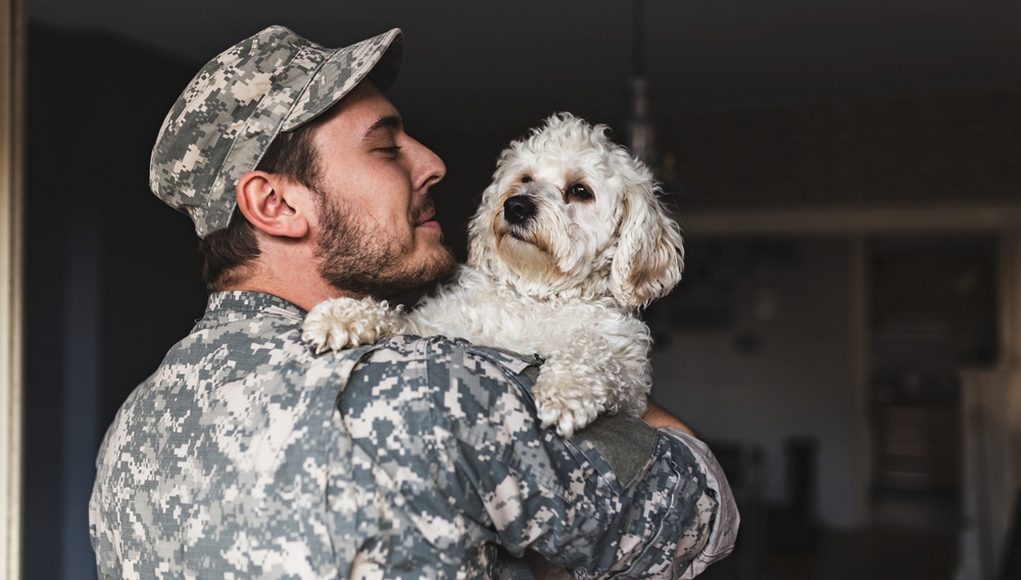 Dogs Welcoming Soldiers Home