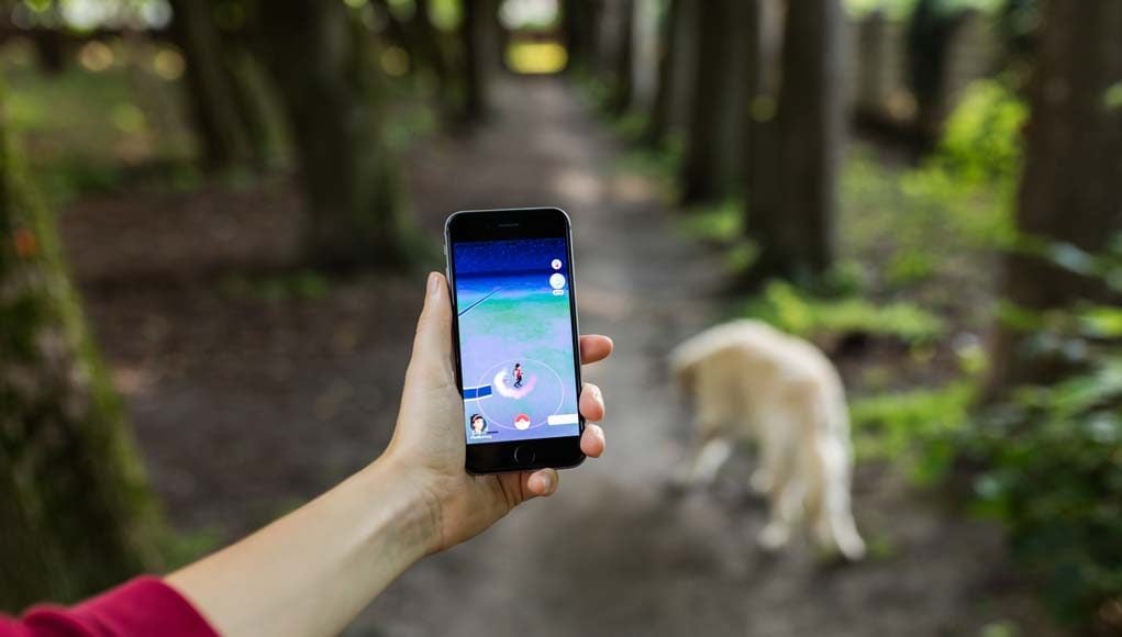 How to Play Pokemon Go with Dogs