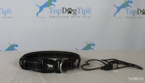 4 Paws Tech LED Collar Review