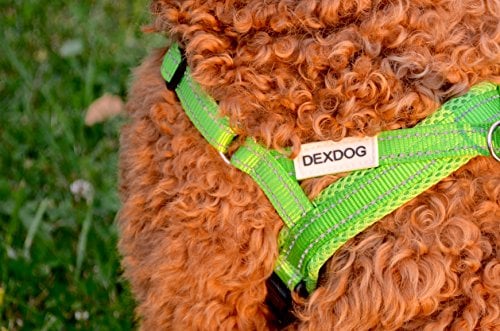 Dex Dog EZHarness Review