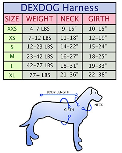 Dex Dog Harness Review