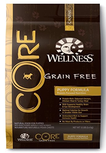 Wellness CORE Natural Grain Free Dry Dog Food