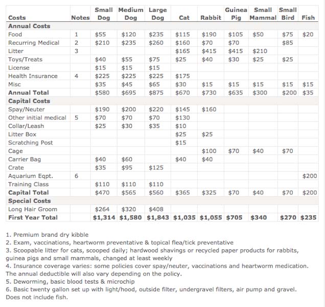 Dog care costs