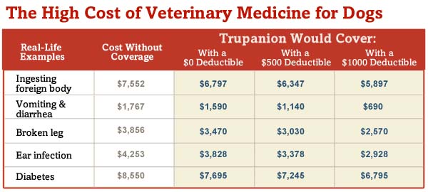 Dog Vet Costs