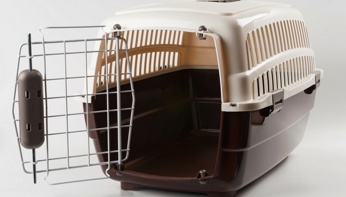 Plastic Dog Crates