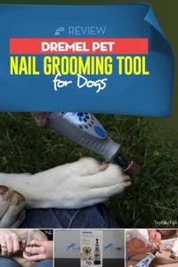 Review of Dremel Pet Nail Grooming Tool For Dogs