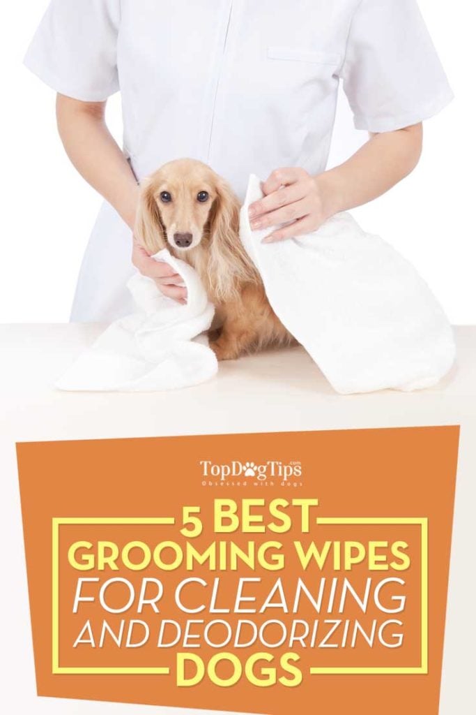 Top Rated Best Dog Grooming Wipes