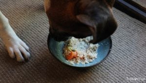 Homemade Dog Food for Heart Disease