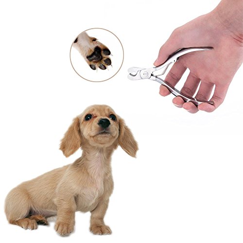 MIU PET Dog Nail Clipper Set