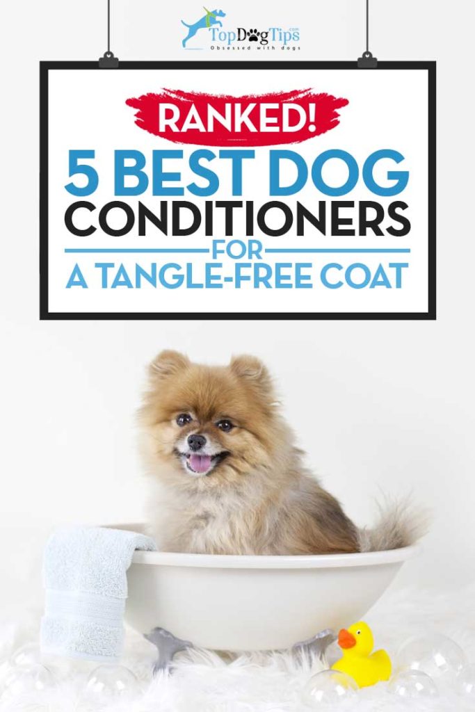 5 Top Rated Best Dog Conditioner Brands