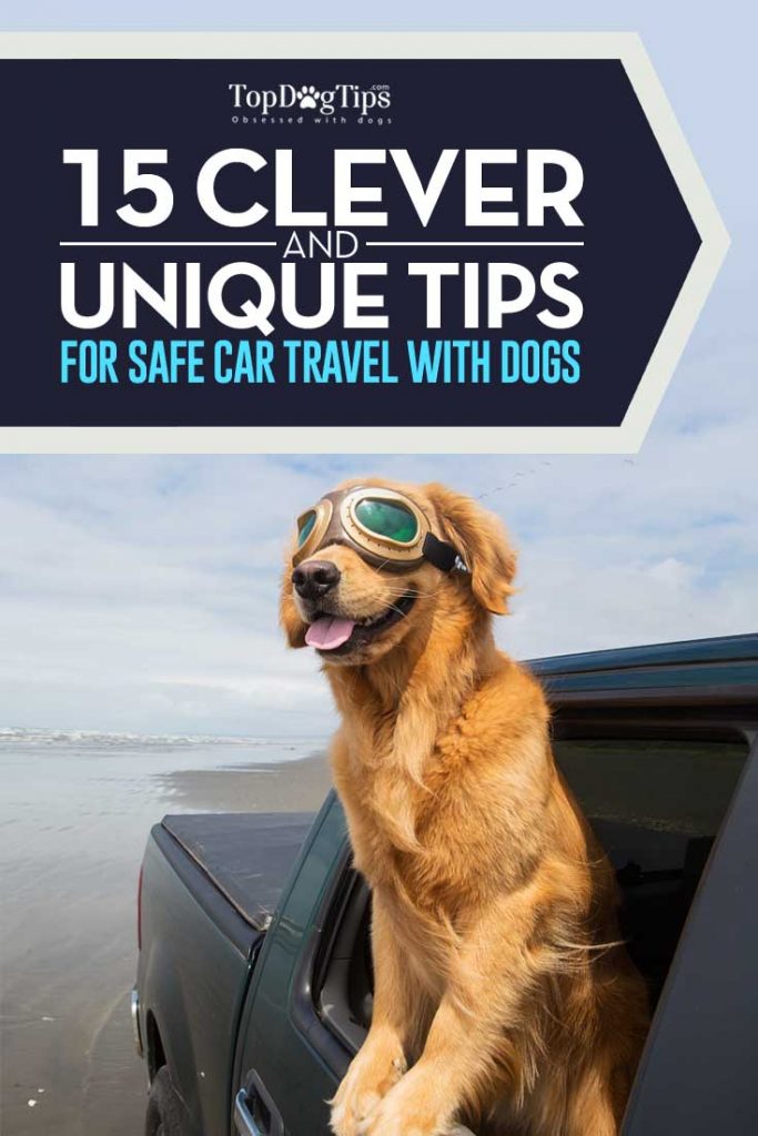 Clever Tips for Traveling with Dogs in Cars