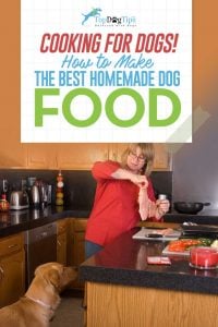 How To Make Homemade Dog Food Video