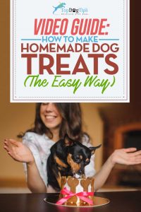 How To Make Homemade Dog Treats Video