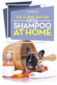 How to Make Homemade Flea Shampoo for Dogs